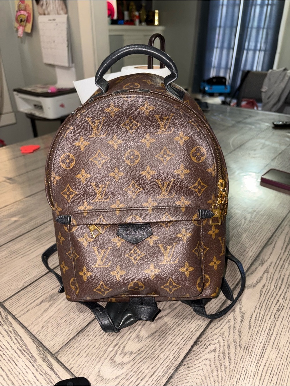 Louis Vuitton Palm Springs Backpack - Picture 1 of 13
